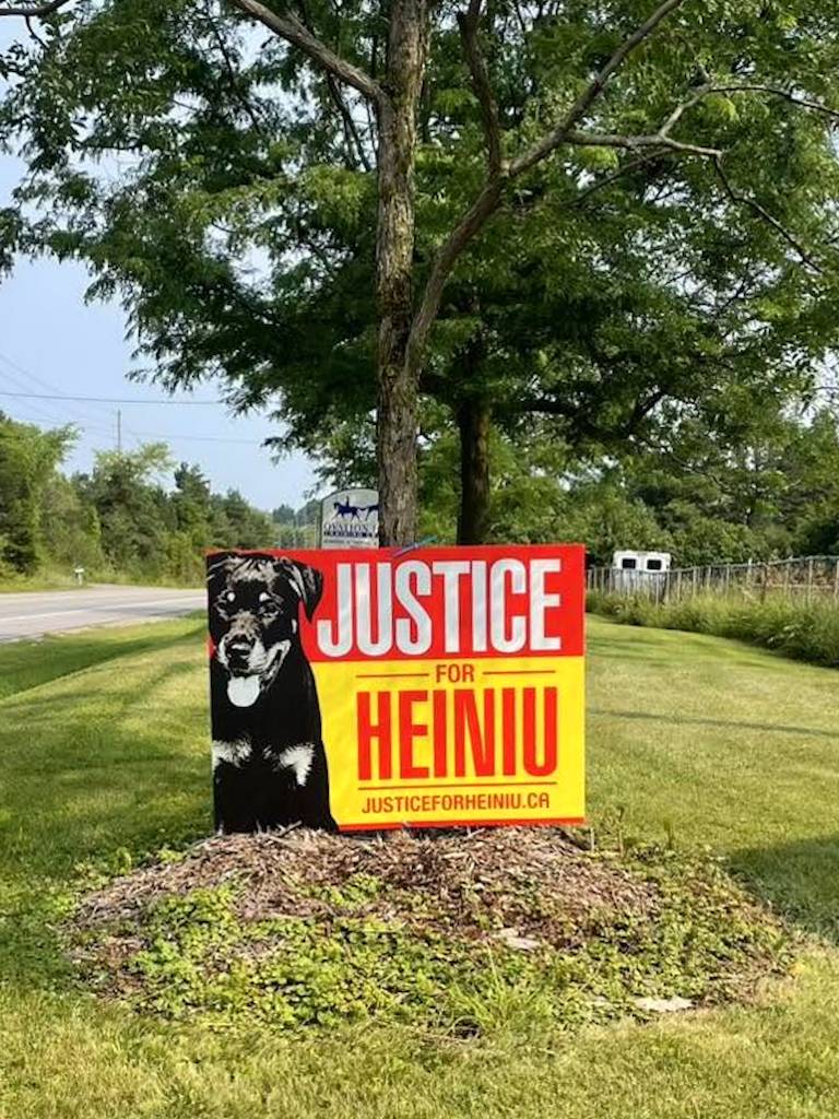 Justice for Heiniu campaign sign in Aurora, Ontario